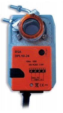 RSA-DPL10-24